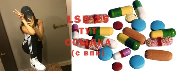 прущий лед Алзамай