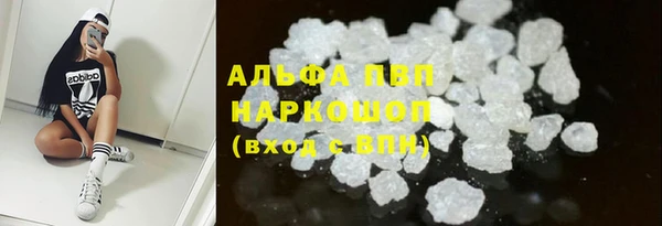 прущий лед Алзамай