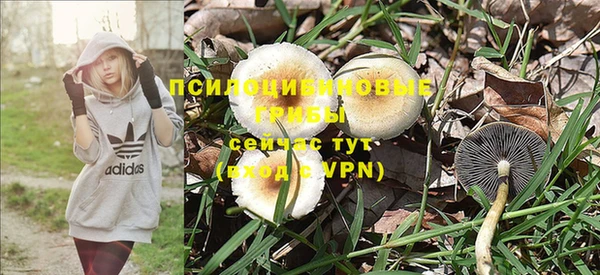 ешки Абдулино