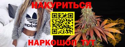 стаф Гусев
