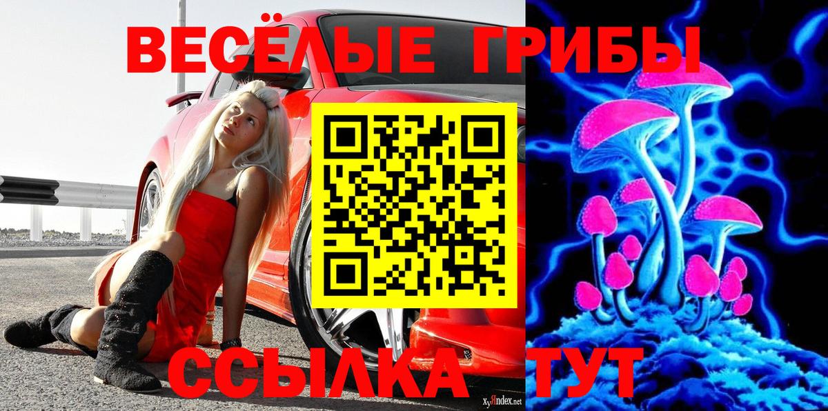 Мирный  наркота  Вход с VPN  Псилоцибиновые грибы ЛСД 
